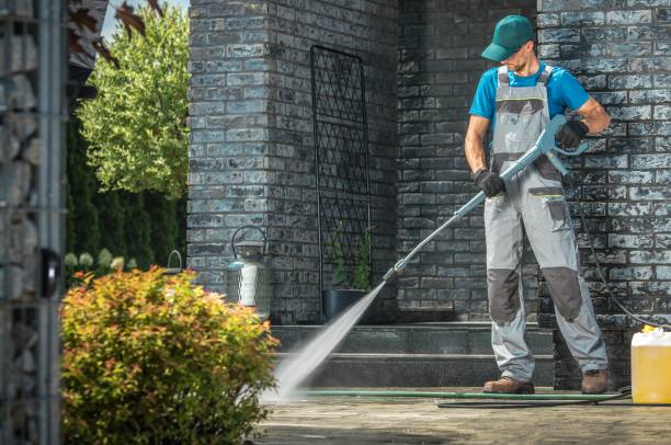 Best Solar Panel Cleaning  in Altamont, IL