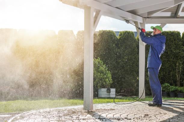 Best Rust Removal  in Altamont, IL