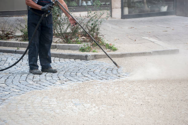 Best Dumpster Area Cleaning  in Altamont, IL