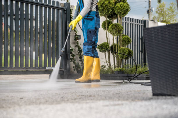 Best Graffiti Removal  in Altamont, IL